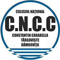 Academic partner logo